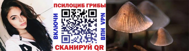 Галлюциногенные грибы Psilocybe  Вуктыл 